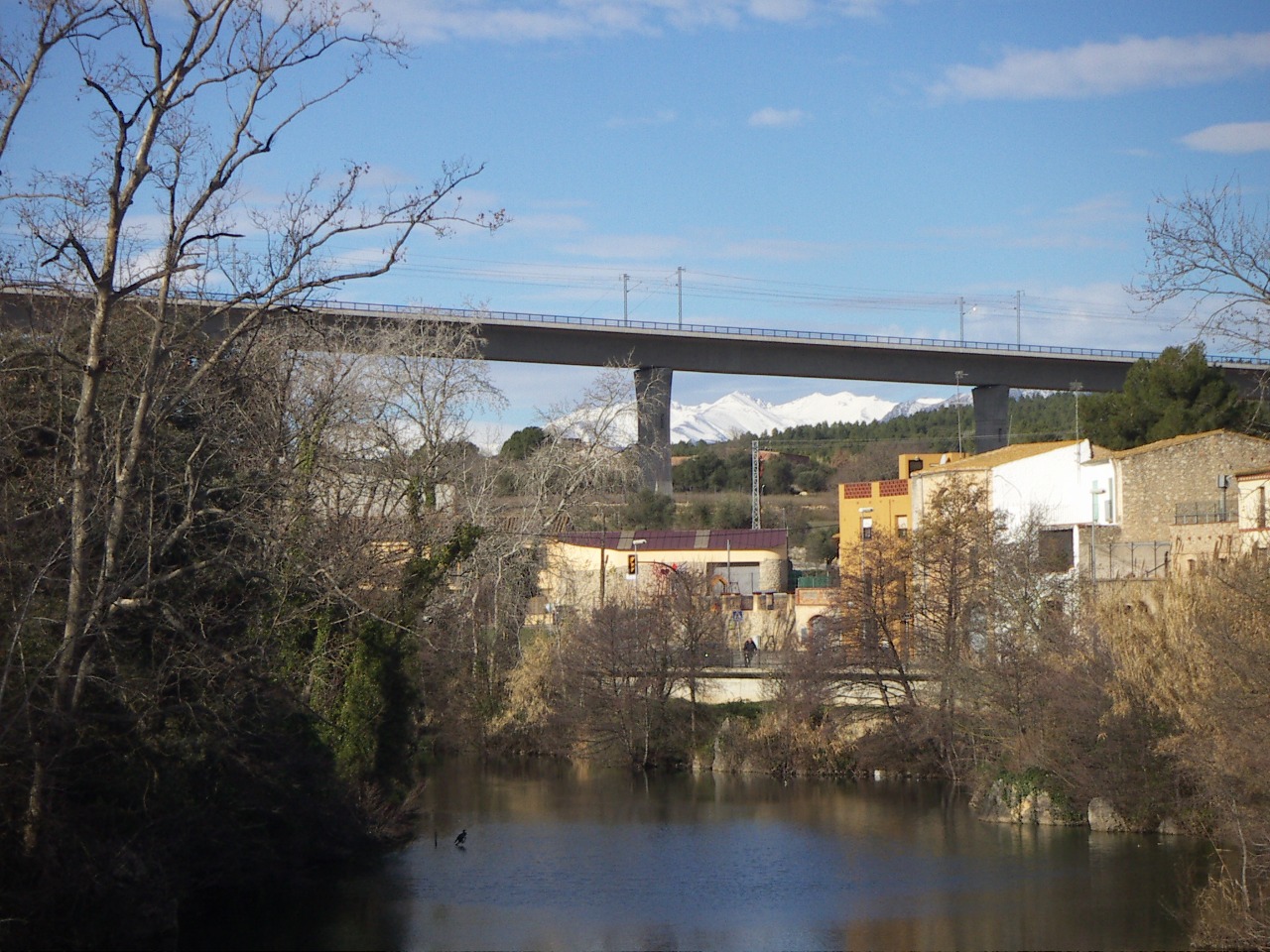 Viaducte del TGV sobre la Muga pel mig del poble de Pont de Molins.